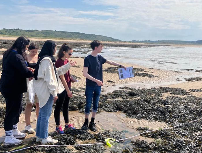 Porthcawl Transects